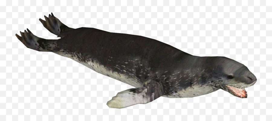 Leopard Seal Zerosvalmont Zt2 Download Library Wiki Fandom - Animal Figure Emoji,Seal Png