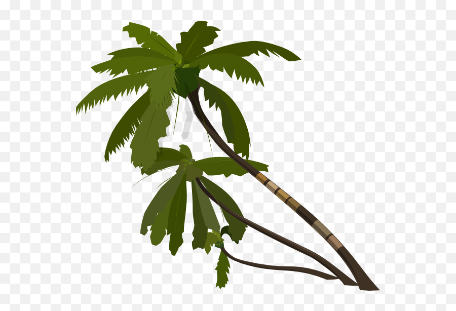 Palm Tree Vector - Free Jungle Trees Vector Emoji,Palm Tree Clipart