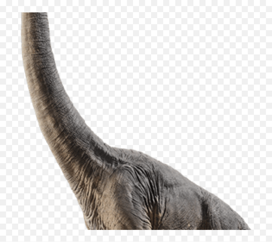 Imagem Dinossauros Jurassic Park Em Altar Resolução Grátis Emoji,Jurassic Park Png