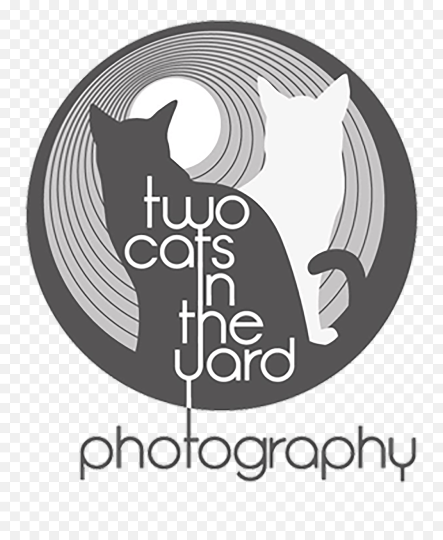 Two Cats In The Yard Photography Photography Studio Cardiff - Two Cats Logo Emoji,Cats Logo