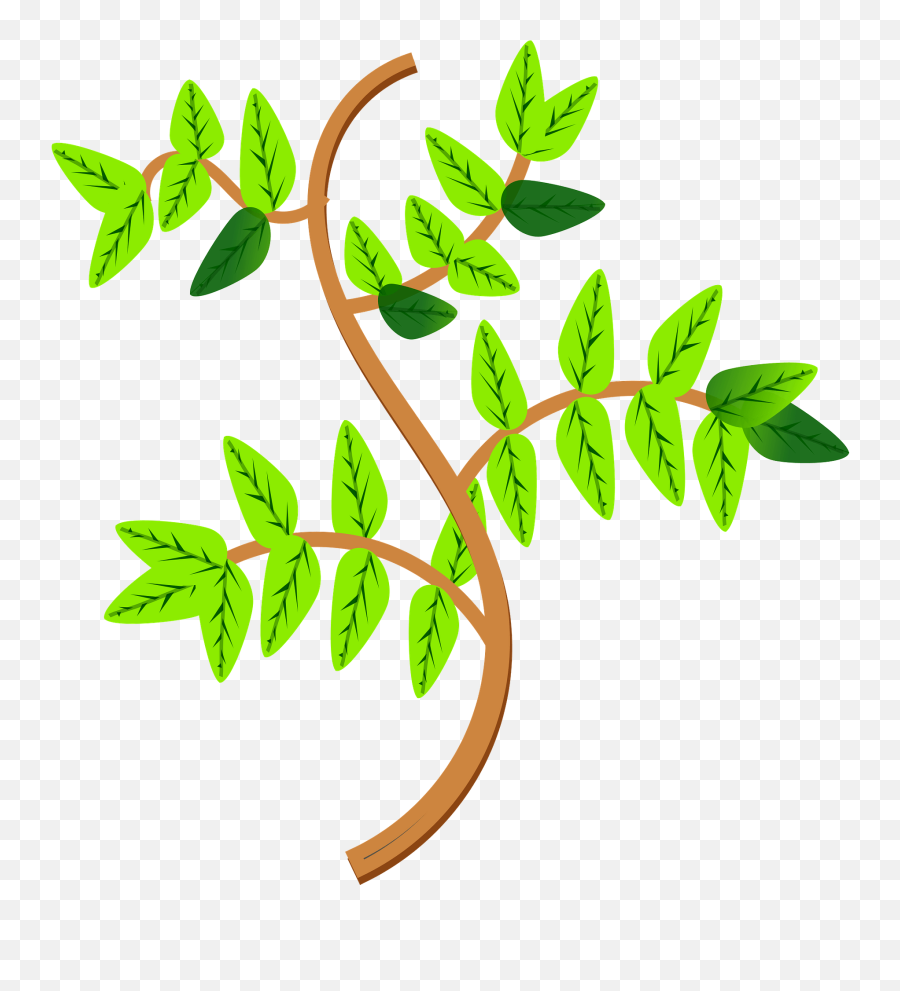 Leaves And Branches Clipart - Branches Of Plant Clip Art Emoji,Branches Clipart