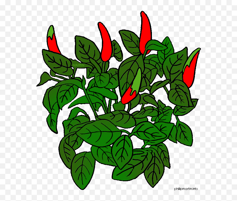 Pepper Plant Clipart - Clipart Best Clipart Best Chilli Plant Cartoon Gif Emoji,Chili Pepper Clipart
