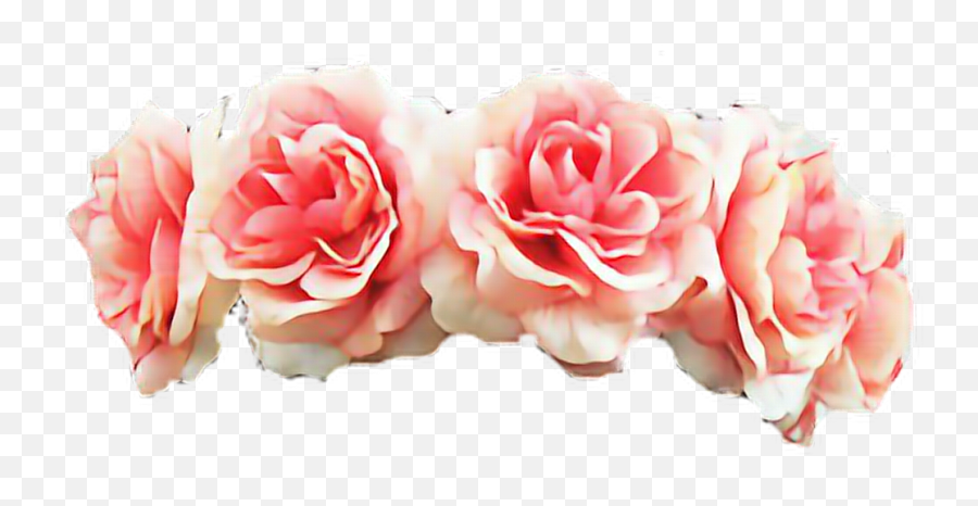 Reportar Abuso - Transparent Flower Crown Rose 1440x528 Emoji,Flower Crown Clipart
