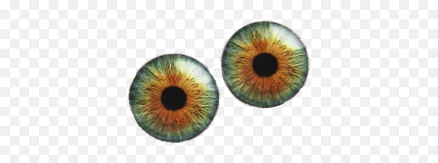 Black Googly Eyes Transparent Png - Transparent Hazel Eyes Png Emoji,Googly Eyes Png