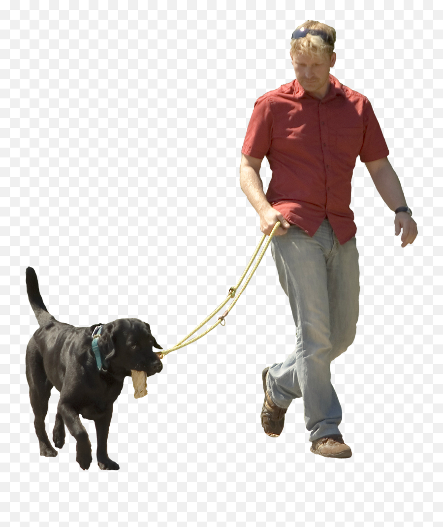 Man Walking Dog Transparent Background - Walking Dog Png Emoji,Dog Transparent Background