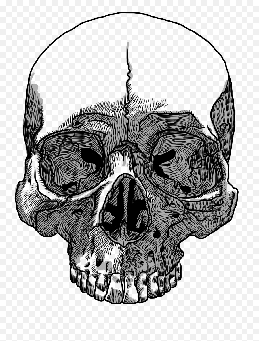 Free Transparent Skull Png Download - Transparent Background Skull Drawing Png Emoji,Skull Transparent Background