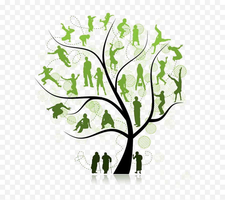 Family Tree Png Pic - Family Tree Png Transparent Emoji,Family Tree Clipart