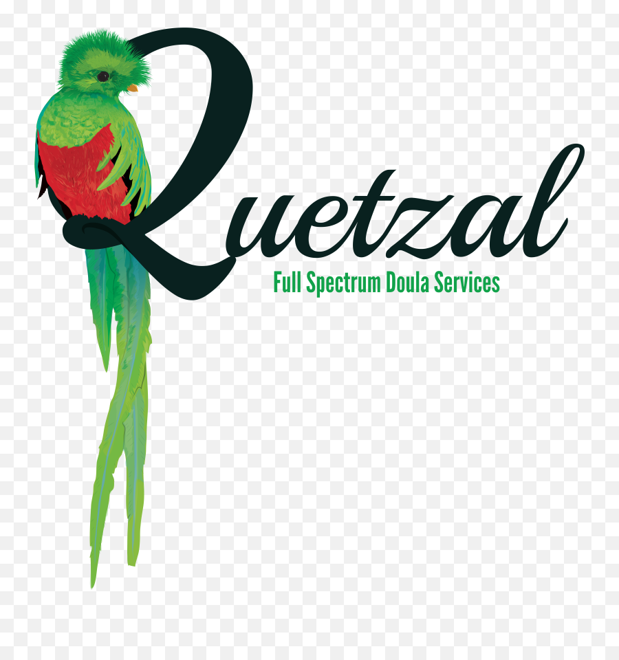Quetzal Doula U2013 Emoji,Doula Logo