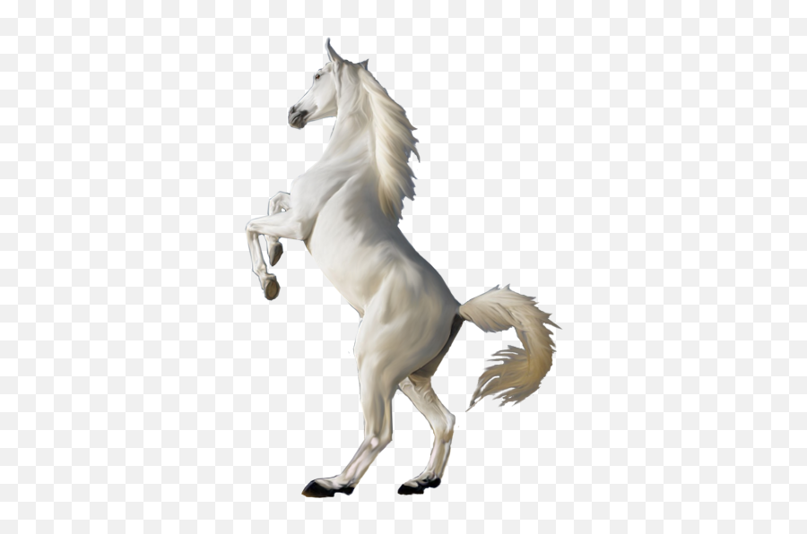 Horse Png Free Emoji,Mustang Head Clipart