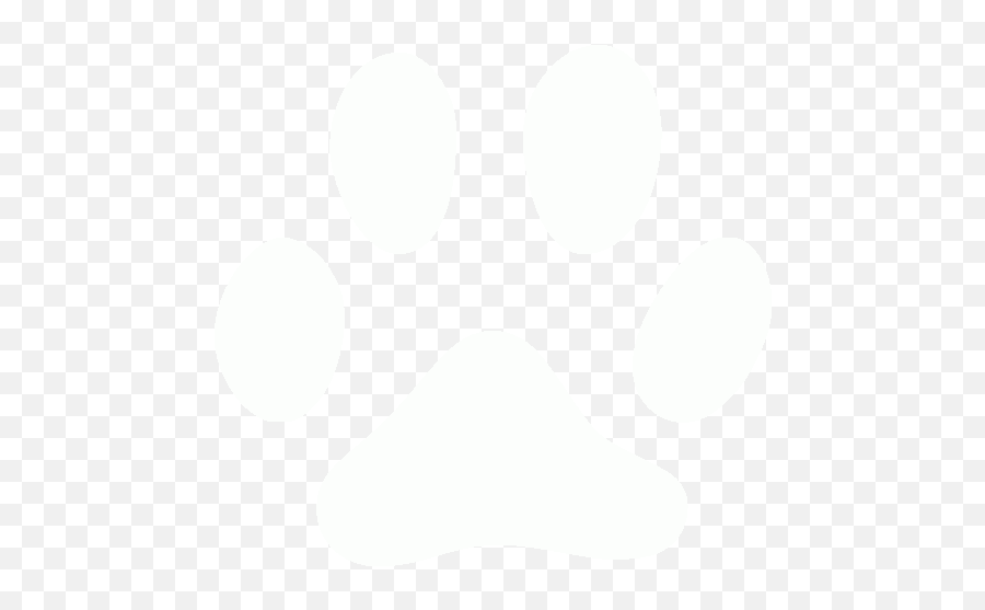 White Footprints Cat Icon - Free White Footprint Icons Emoji,Footprints Clipart Black And White