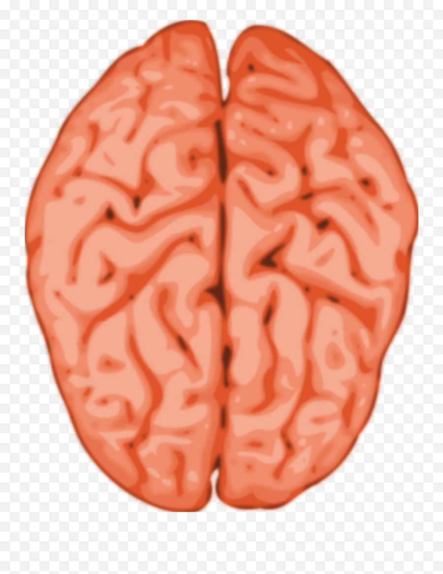 Animated Brain Images - Brains Clipart Emoji,Brain Clipart Png