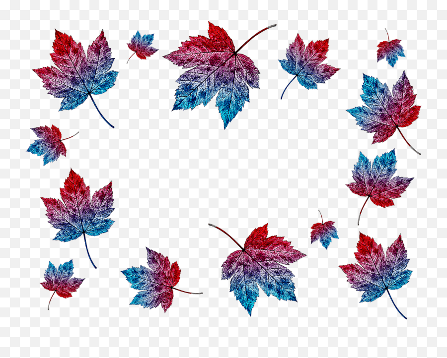 Autumn Leaves Collage Transparent - Autumn Leaves Blue Png Emoji,Fall Leaves Transparent Background