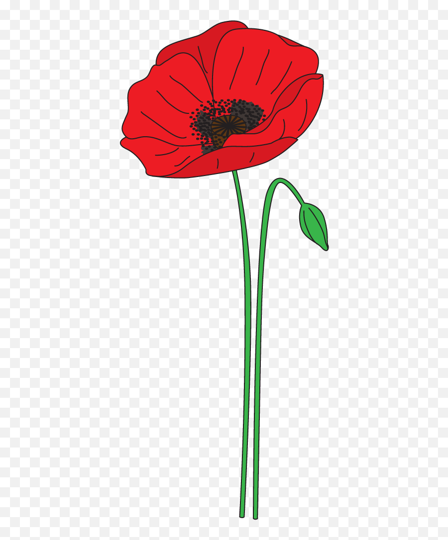 Anzac Poppy Clipart - Poppy Clipart Transparent Background Emoji,Poppy Flower Clipart