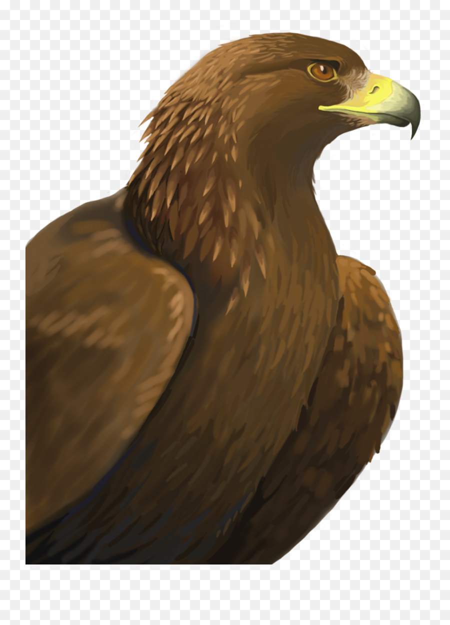 Golden Eagle Png - Golden Eagle Transparent Background Transparent Golden Eagle Png Emoji,Eagle Png