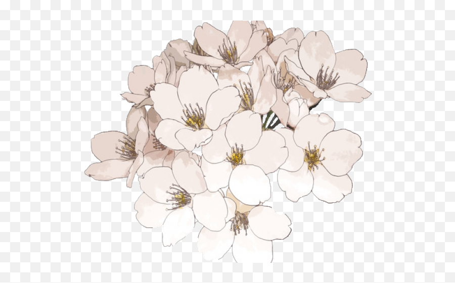 Cherry Blossom Clipart Transparent Tumblr - Anime Flowers Flower Kawaii Transparent Emoji,Cherry Blossom Transparent