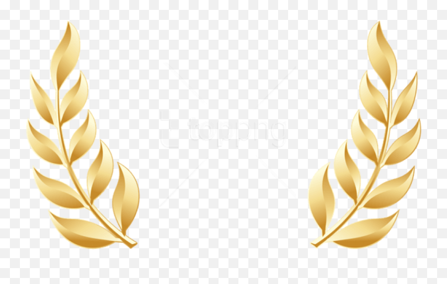 Pinpng Com Laurel Leaves Png Free Images At Clkercom - Golden Laurel Leaves Png Emoji,Leaves Png