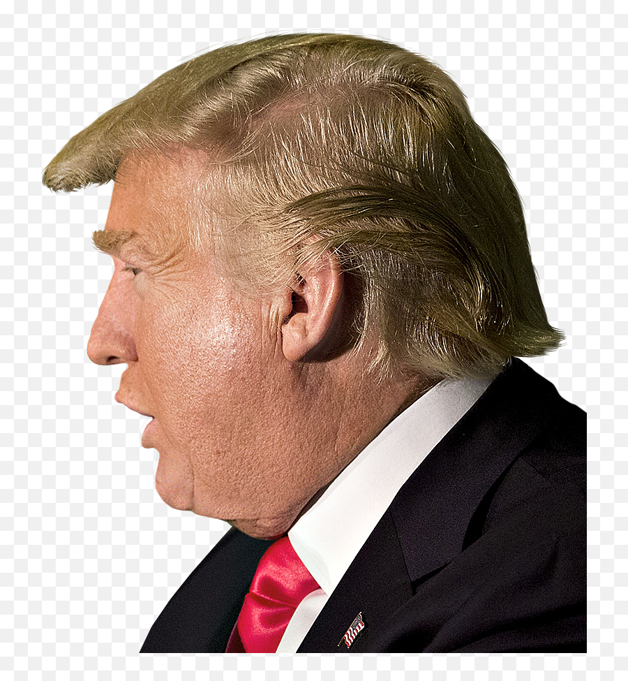 Donald Trump Head Will See You Un Court Png - Trump Side Png Emoji,Donald Trump Png