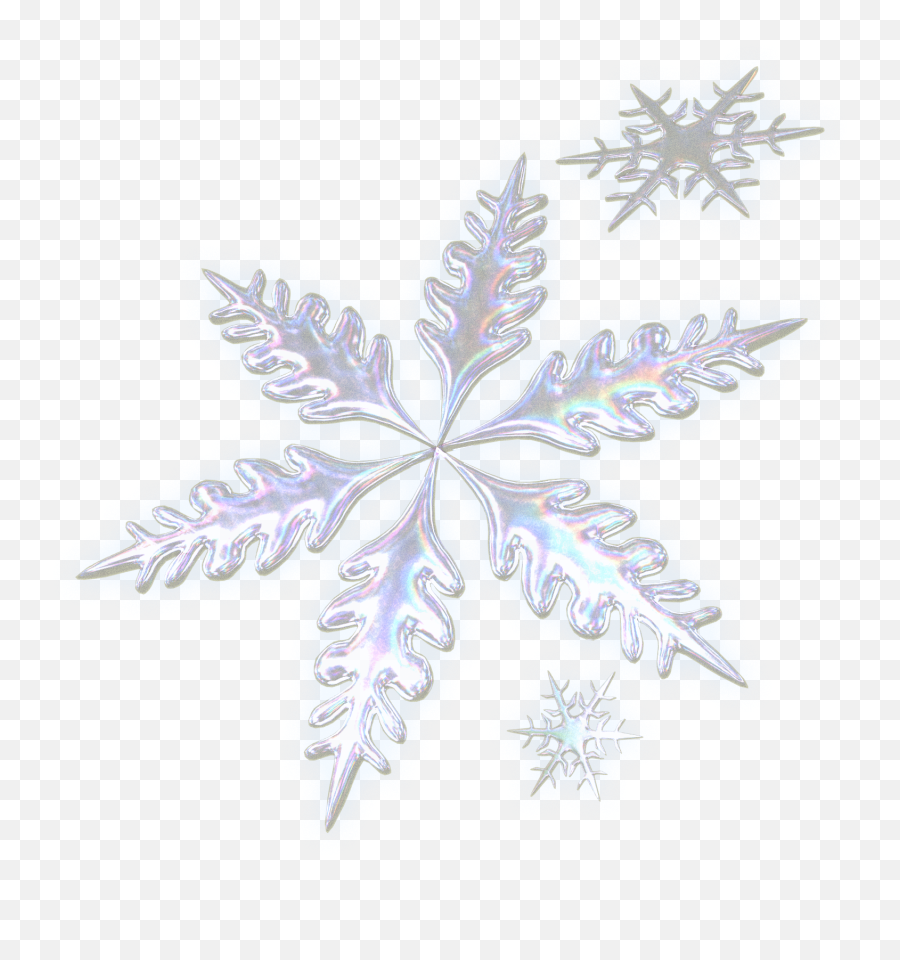 Real Snowflake Transparent Background - Real Snowflake Hd Png Emoji,Snowflake Transparent Background