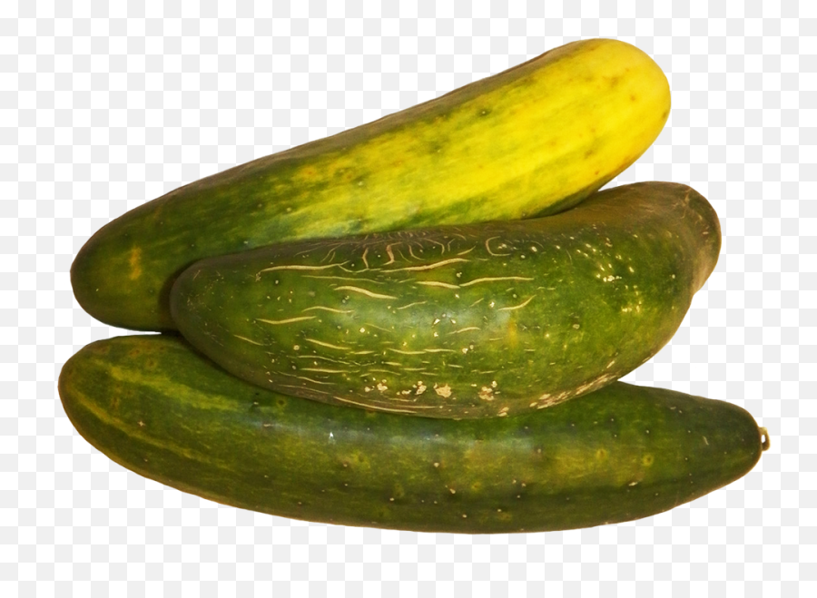 Vegetables Clipart - Spreewald Gherkins Emoji,Cucumber Clipart