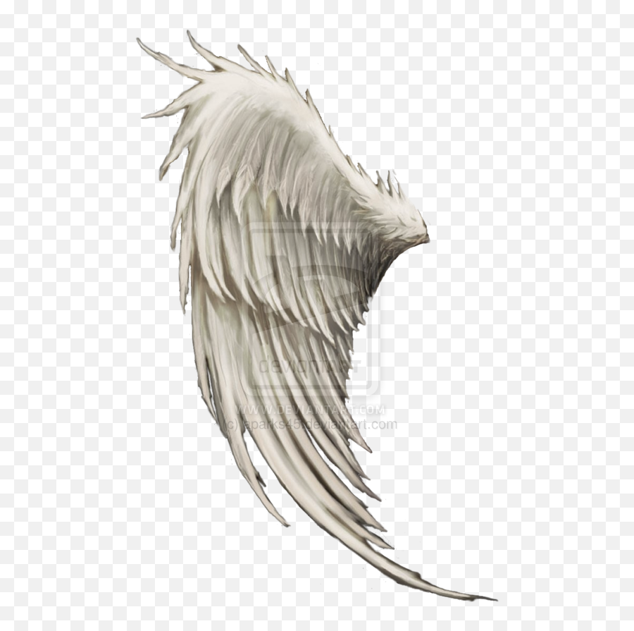 Wing Angel Clip Art - Angel Wings Png Download 600875 Dieux De La Mort Emoji,Angel Wing Clipart