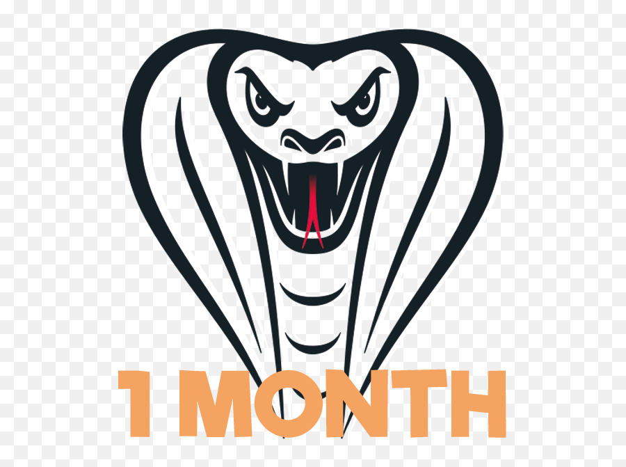 1 Month License - Snake Head Logo Emoji,Sniping Logos