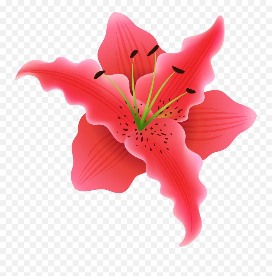 Beautiful Exotic Flower Png Clipart - Flower Emoji,Fall Flowers Clipart