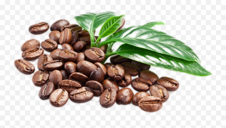 Coffee Beans Png Transparent Images Emoji,Barista Png