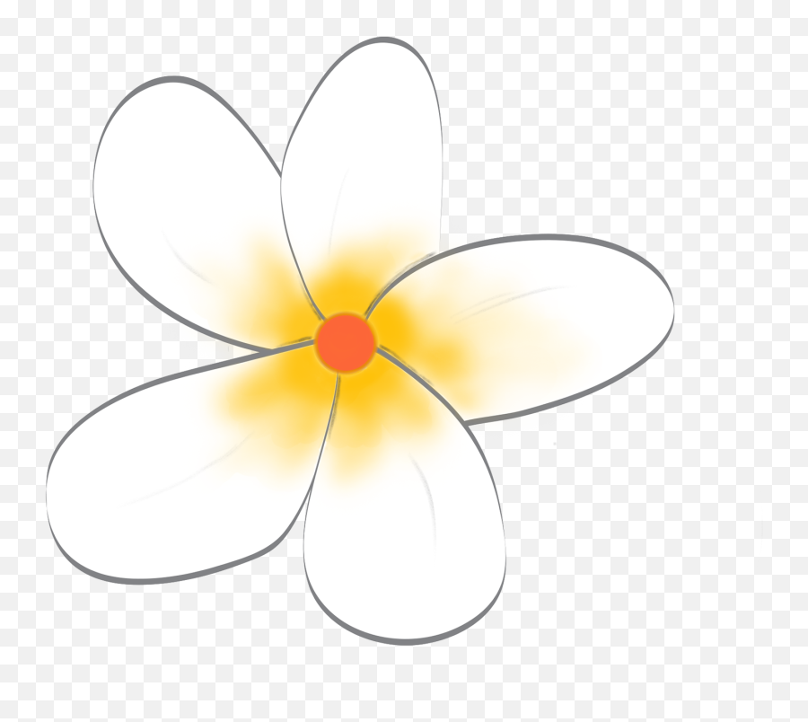 Frangipani White Flower Png Clipart Png Mart Emoji,White Flower Transparent Background