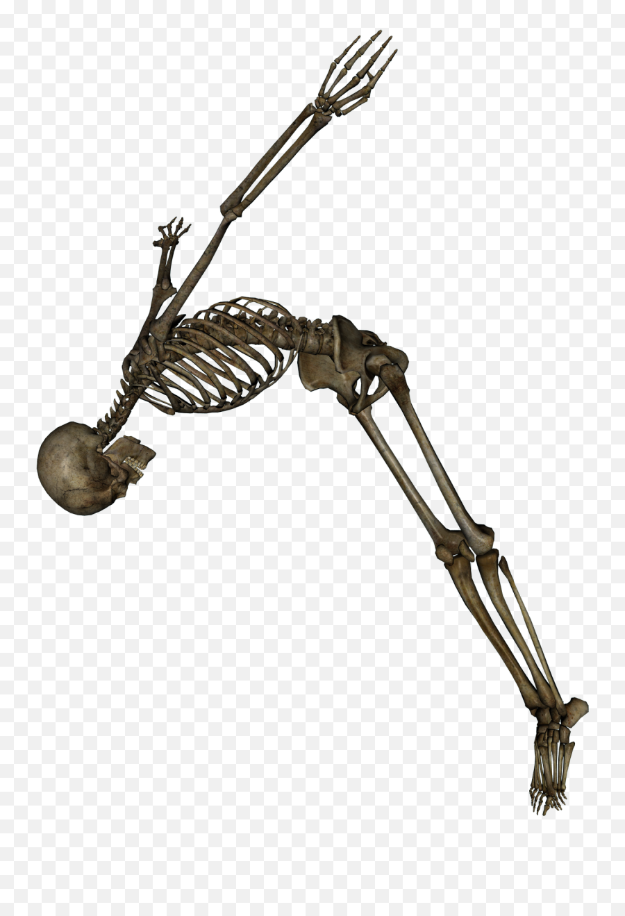 Skeleton Png - Skeleton Png With Transparent Background Emoji,Skeleton Png