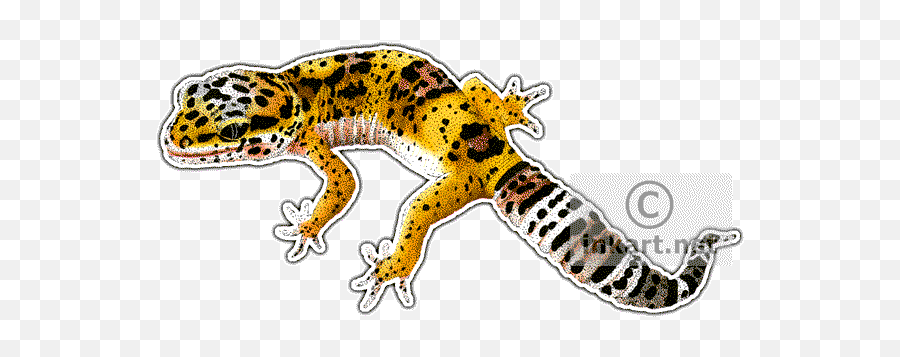 Leopard Gecko Clipart Drawing - Art Of Leopard Geckos Emoji,Gecko Clipart