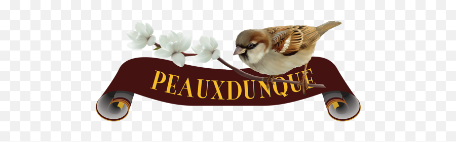 Pr - Logolarger Peauxdunque Writers Alliance House Sparrow Emoji,Pr Logo