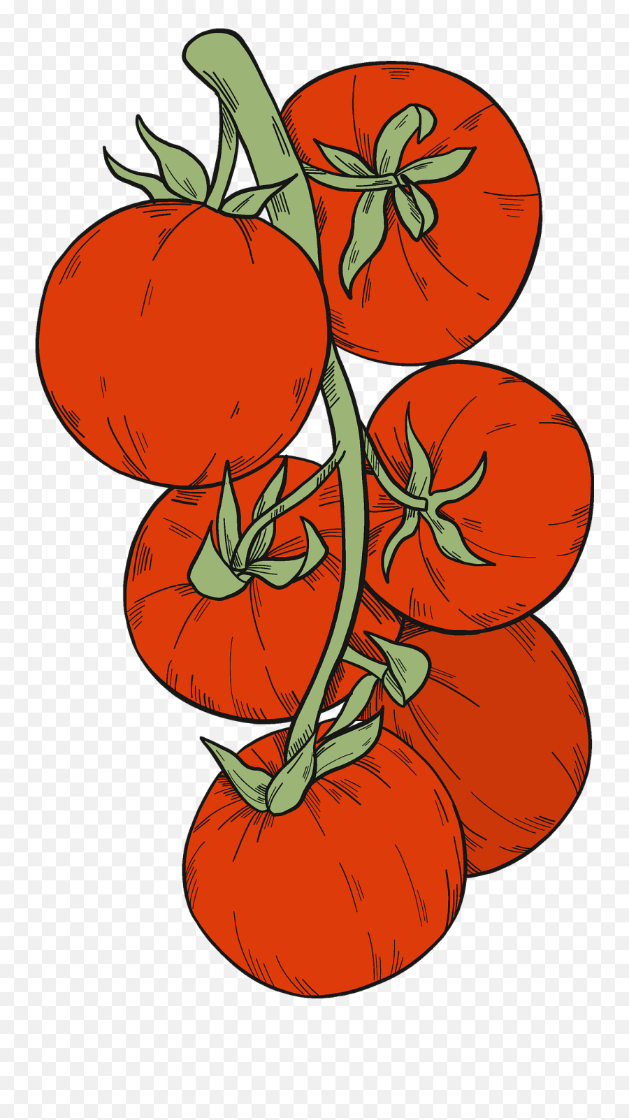 Tomatoes Clipart - Fresh Emoji,Tomato Clipart