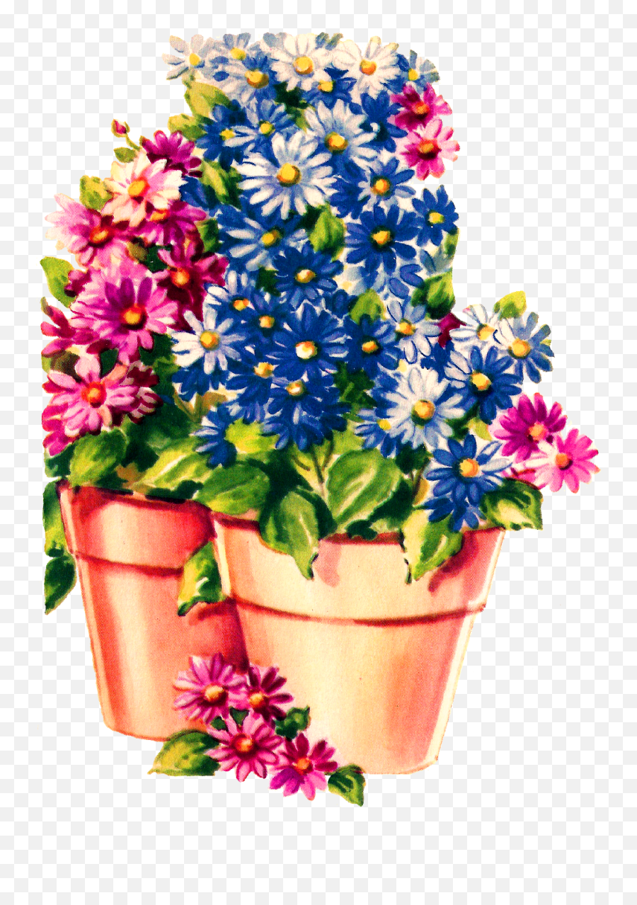 Antique Images Daisy Flower Pot Free Digital Botanical Art Emoji,Flowerpot Clipart