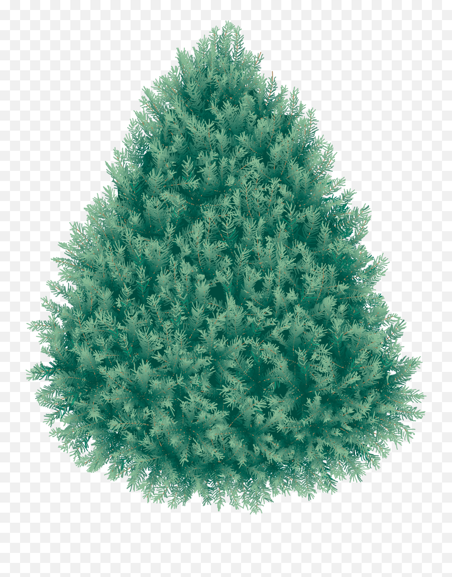 Blue Spruce Transparent Background Hd Emoji,Christmas Tree Transparent Background
