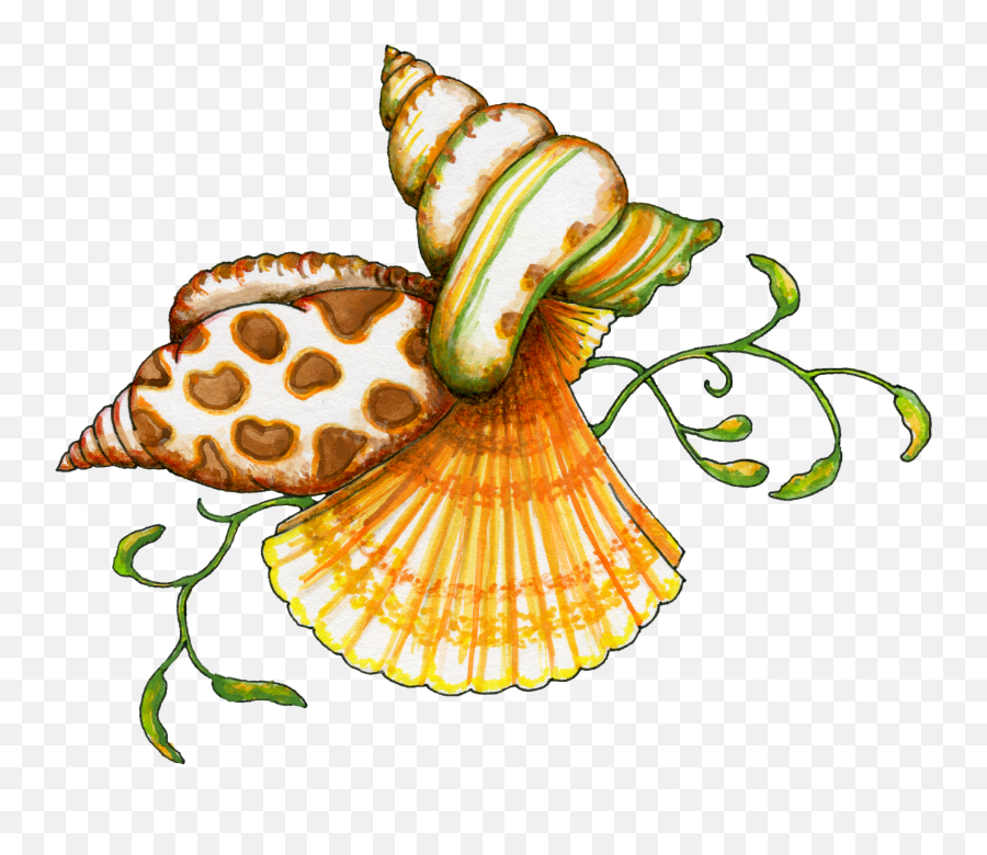 Sea Shell Clip Art - Clip Art Image Of Sea Shell Emoji,Seashell Clipart