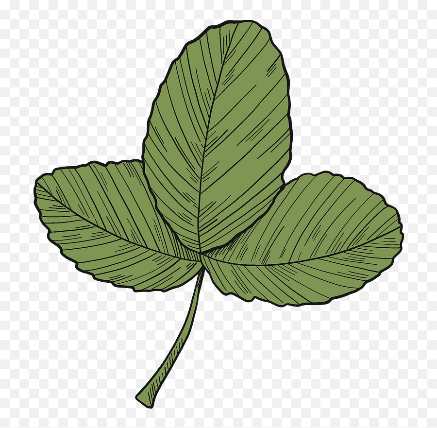 Strawberry Leaves Clipart Free Download Transparent Png Emoji,Free Leaf Clipart
