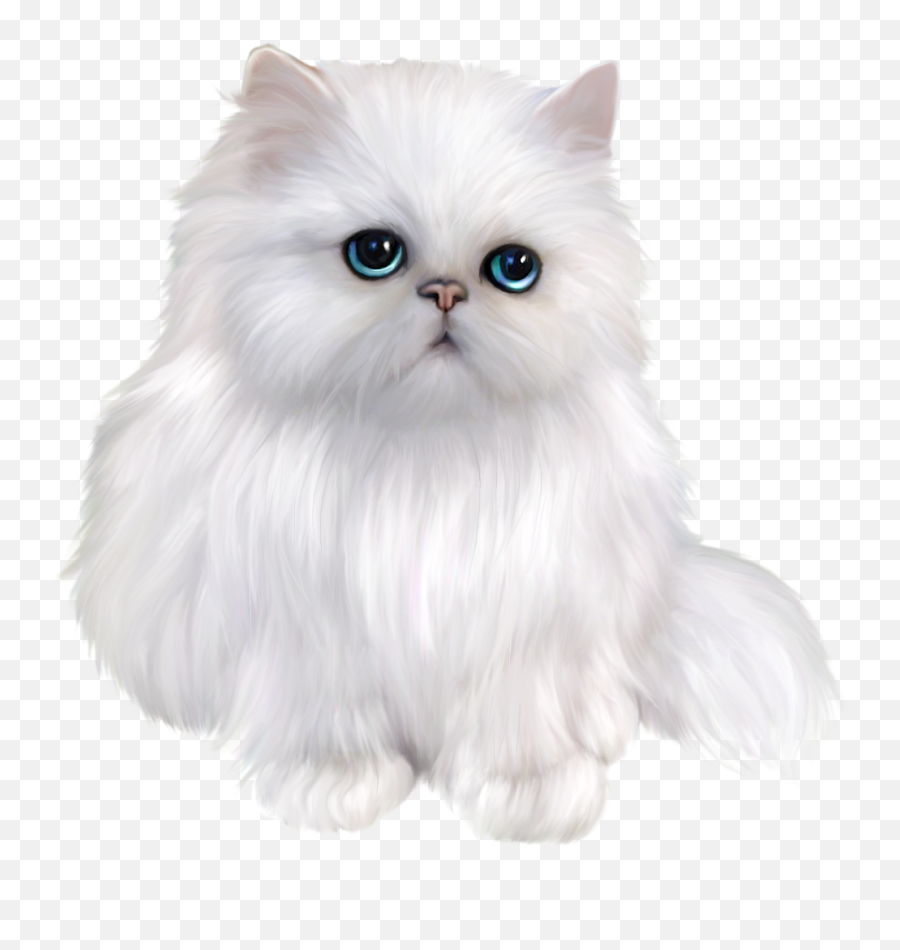 Download Kitten Clipart Gray Cat - Persian Cat Png Full Persian Cat Clipart Emoji,Kitten Clipart