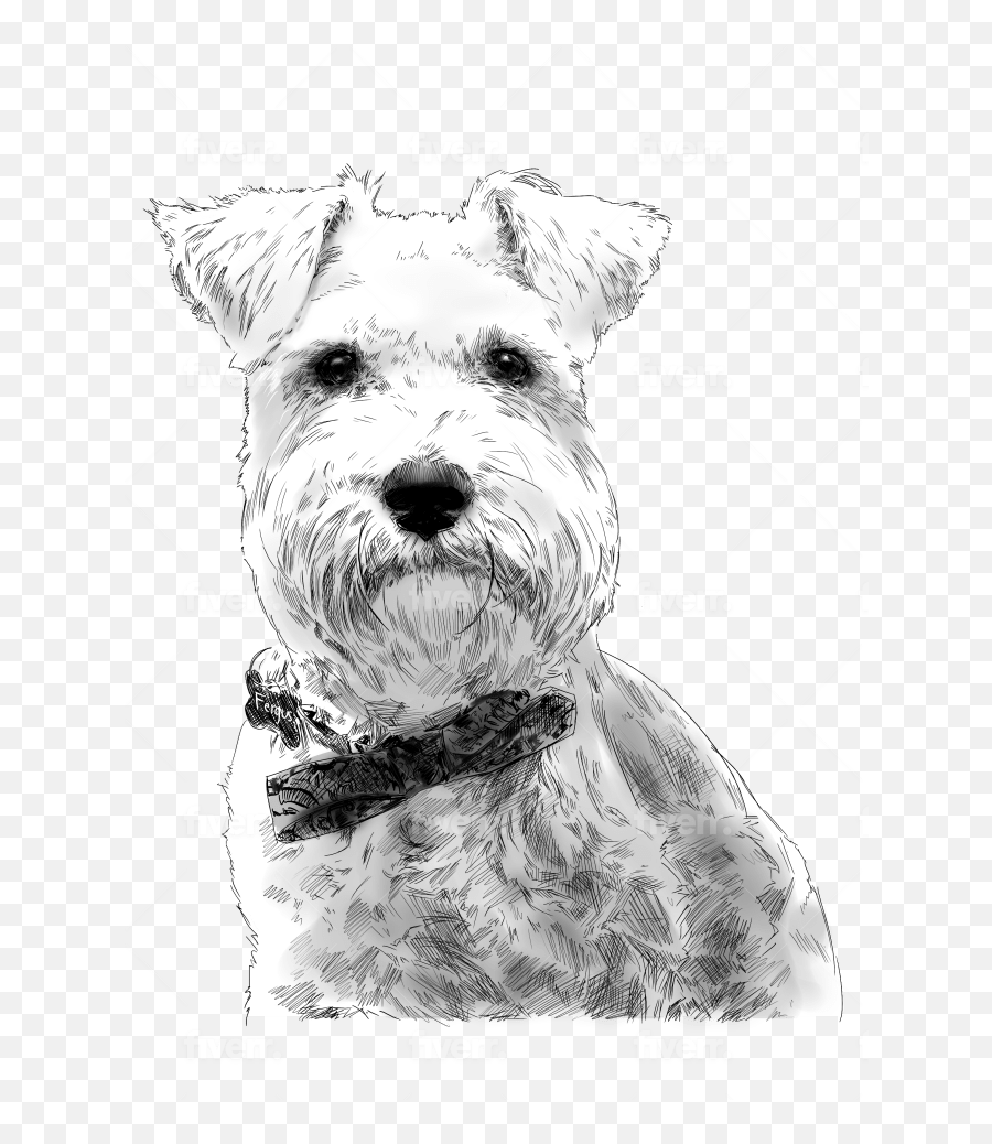 Make Dog Cat Or Any Pet Into Minimalist Sketch Portrait By Emoji,Boxer Dog Clipart Black And White
