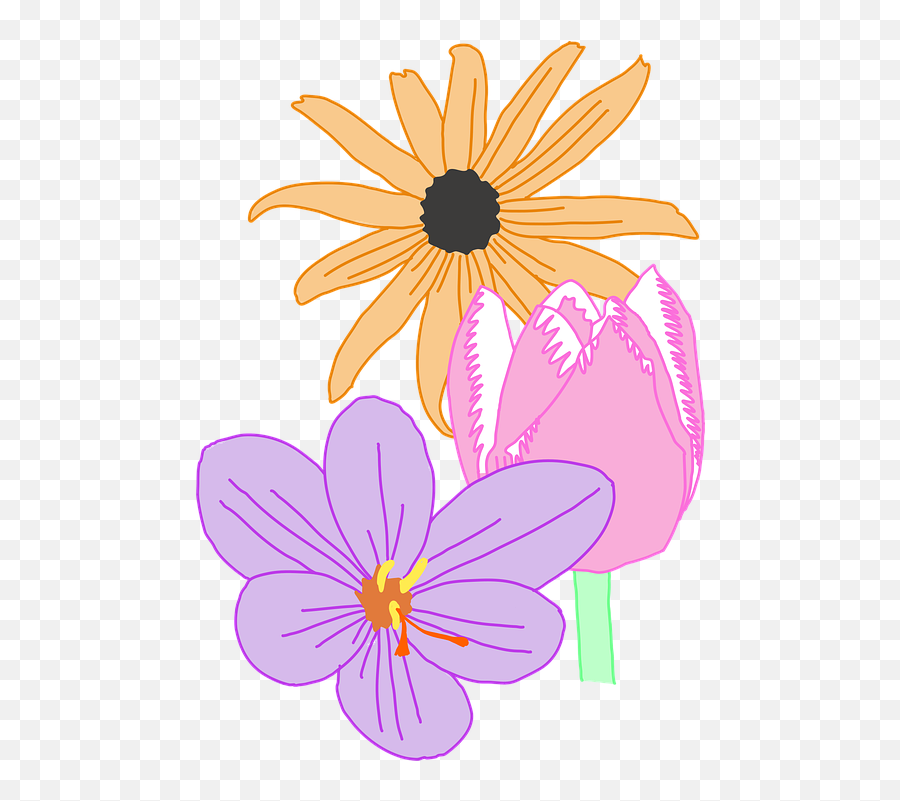 Daisy Flower Nature - Free Vector Graphic On Pixabay Emoji,Daisy Flower Png