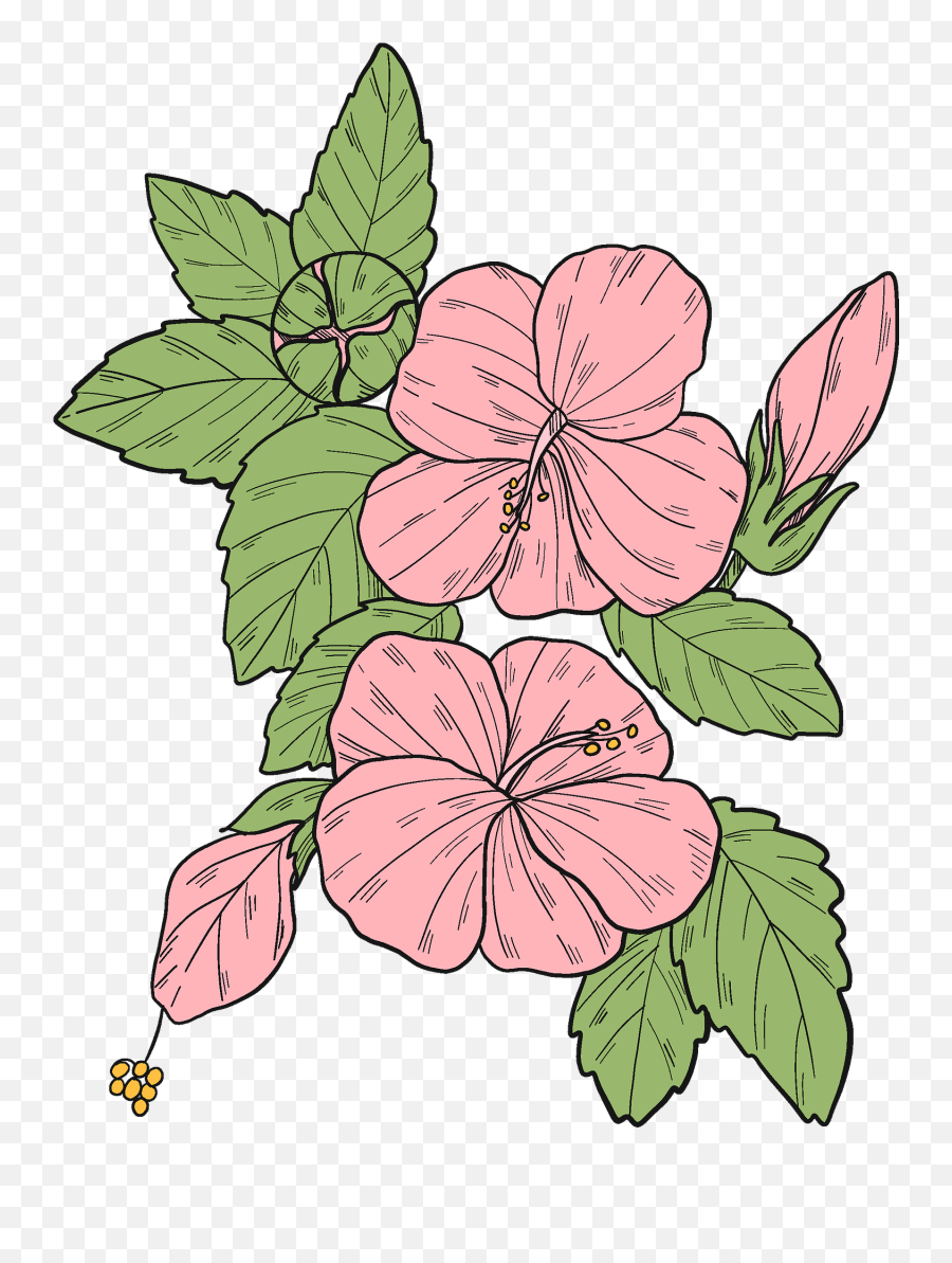 Pink Hibiscus Flowers Clipart Free Download Transparent - Floral Emoji,Hibiscus Flower Clipart