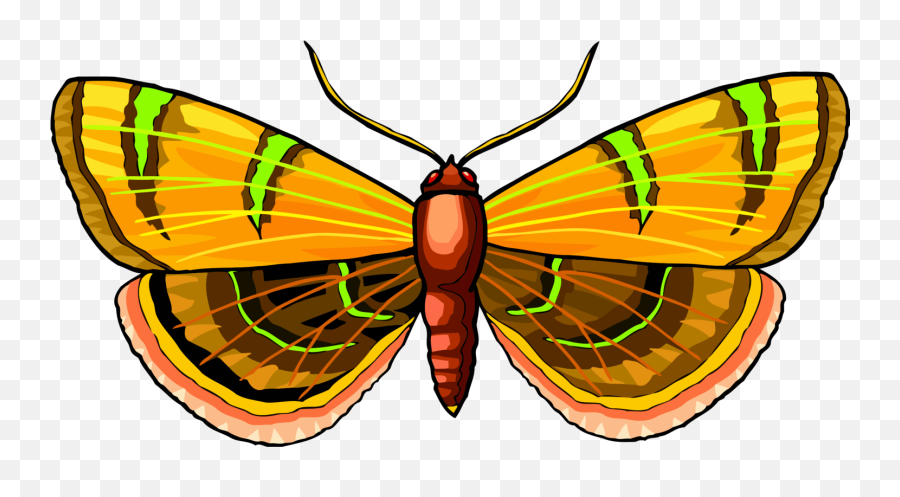 Butterfly Symmetry Moth Png Clipart - Fantacy Red Butterfly Clip Art Emoji,Moth Png