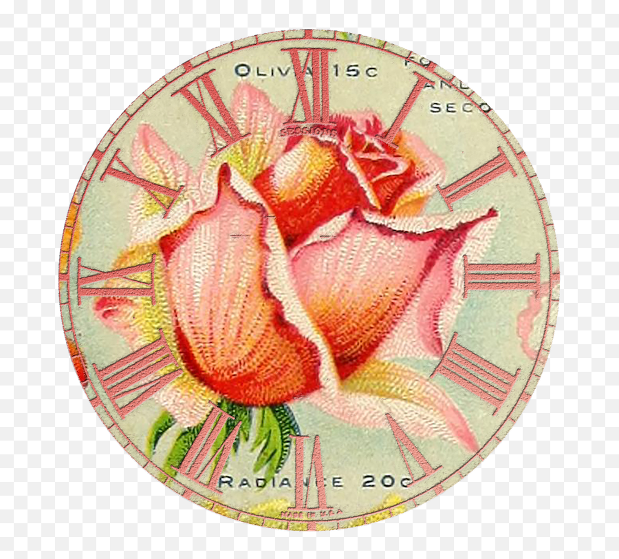 Antique Seed Catalog Reinvented 1914 Miss Ella V Baines Emoji,Clock Face Png