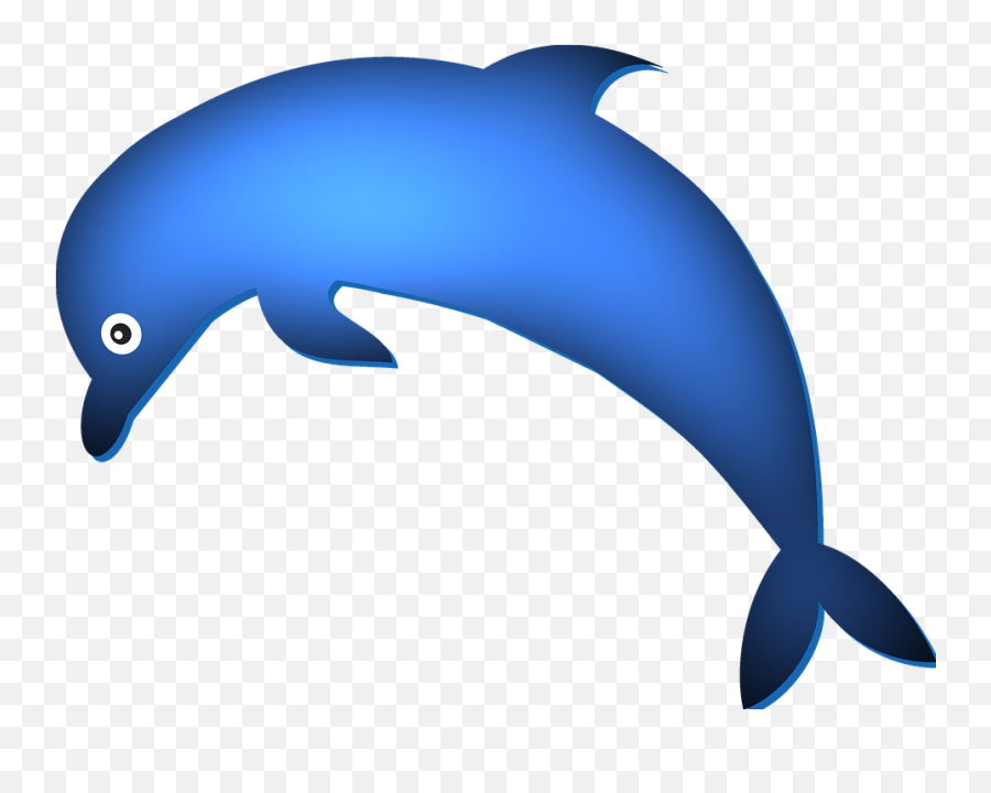 Free Photo Blue Animal Water Fish Mammal Dolphin - Max Pixel Emoji,Ocean Animals Clipart