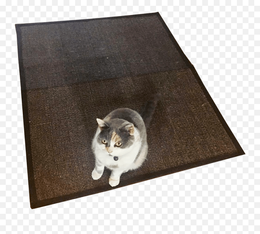 Cat Rug No Background Cat - Plain Rug Transparent Background Emoji,Rug Png