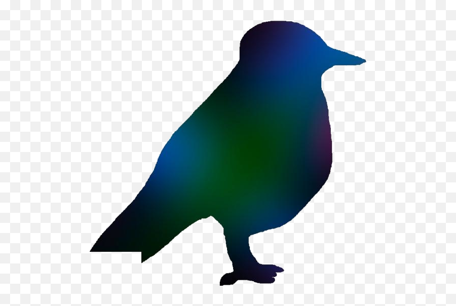 Bird Robin Png Transparent Image For - Songbirds Emoji,Robin Png