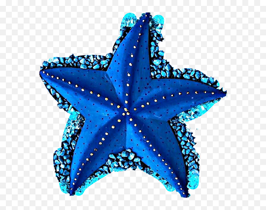 Seacreatures Seacreature Sticker - Transparent Blue Starfish Clipart Emoji,Blue Starfish Logo