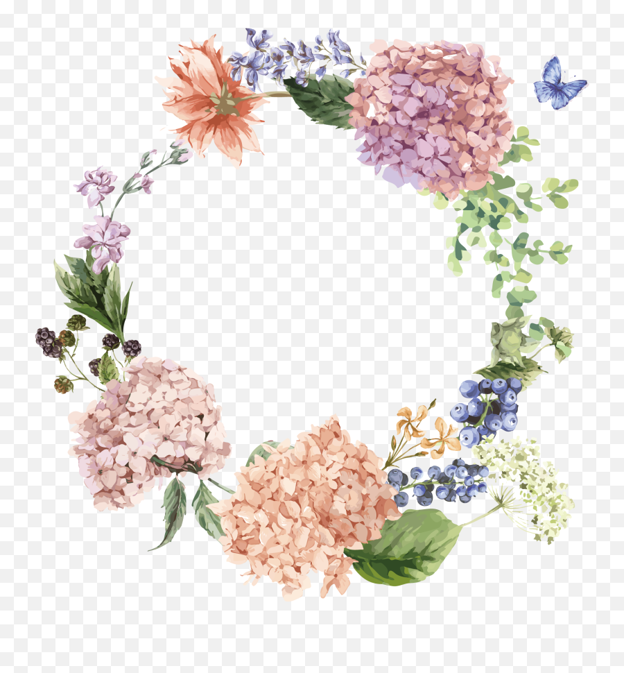 Hydrangea Flower Drawing Illustration - Transparent Background Hydrangea Clipart Emoji,Hydrangea Png