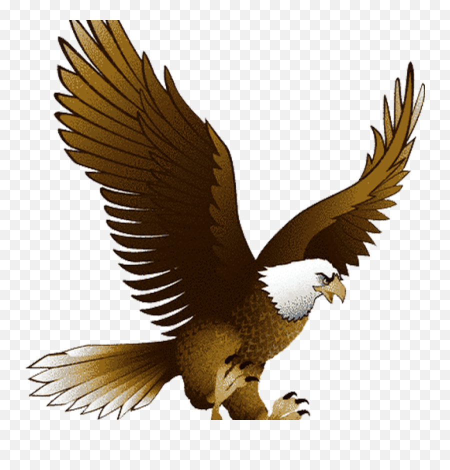 Cartoon Hawk Clipart Clip Art Library - Flying Vector Eagle Png Emoji,Library Clipart