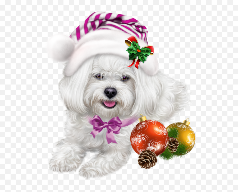 Chiens Dog Puppies - Merry Christmas Dogs Transparent Background Emoji,Christmas Dog Clipart