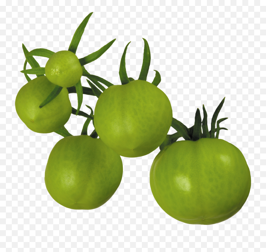 Tomatoes Clipart Green Tomato Tomatoes - Tomato Emoji,Tomato Clipart